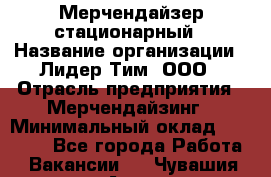 Мерчендайзер стационарный › Название организации ­ Лидер Тим, ООО › Отрасль предприятия ­ Мерчендайзинг › Минимальный оклад ­ 14 000 - Все города Работа » Вакансии   . Чувашия респ.,Алатырь г.